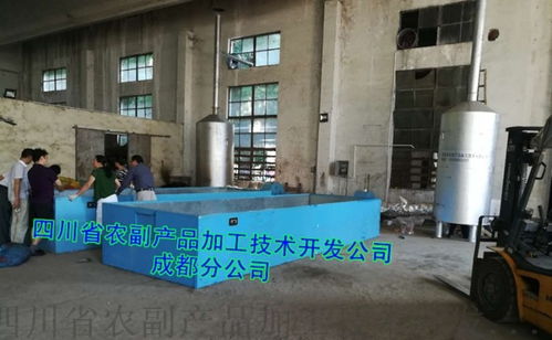 山楂干燥設備技術開發 從傳統晾曬到智能化小型設備的演進